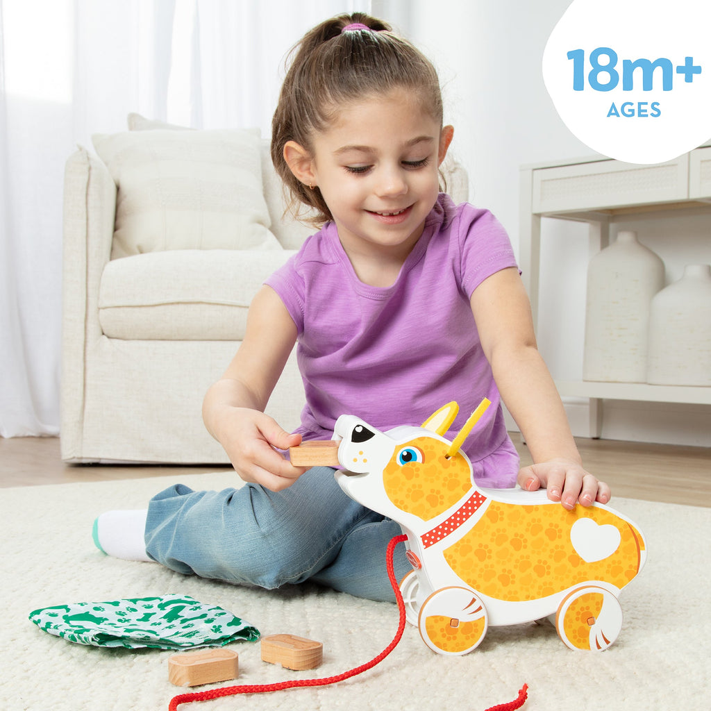 Feed Walk & Poo Pup Play Set