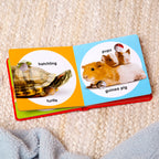 Poke-a-Dot: Pet Families Board Book