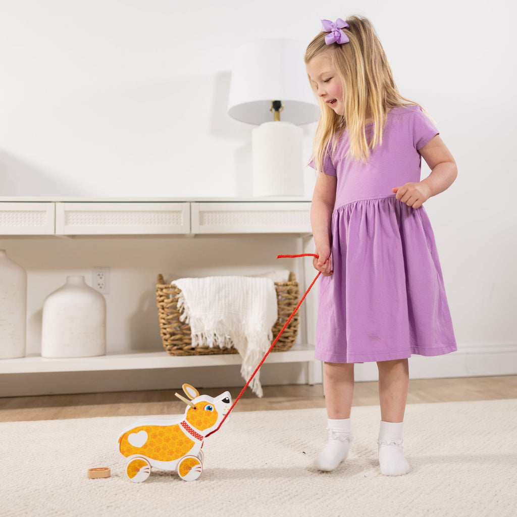 Feed Walk & Poo Pup Play Set