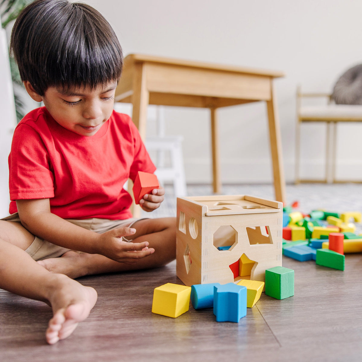 Stack Sort & Pound Wooden Toy Collection