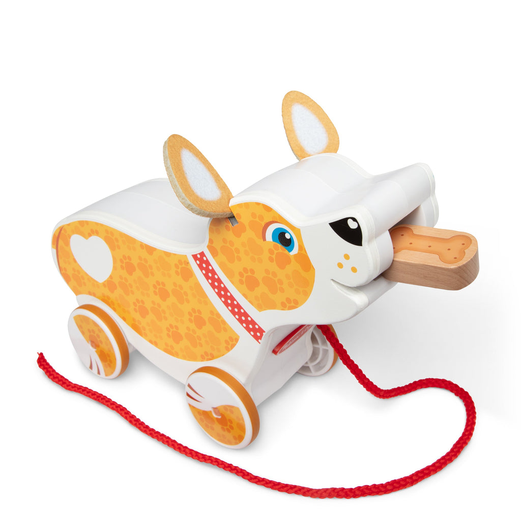Feed Walk & Poo Pup Play Set